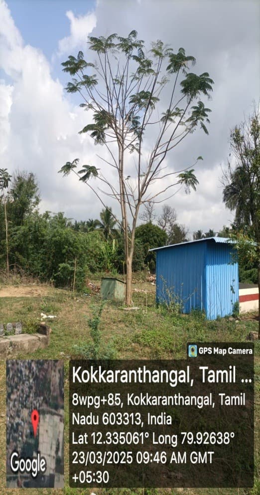 Dr. Kalam Birthday: Tree Planting Across Multiple Locations